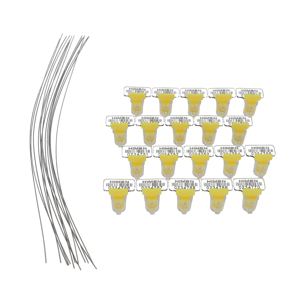 Hec-X-Cash: Plomben für Geldkassette